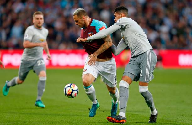 纤维的摄入 纤维的摄入